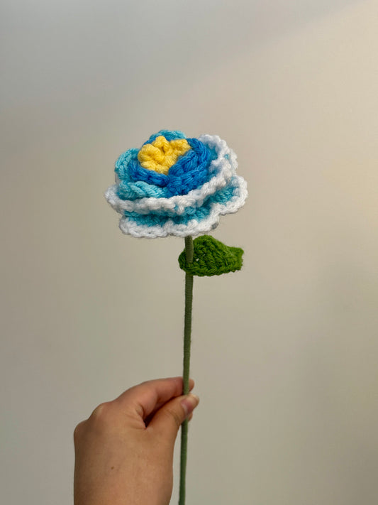 Crochet Peonies (Handmade Multi-coloured flowers)